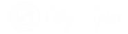 City Spice logo